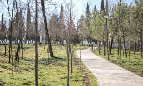 Nisin shpronesimet ne parkun e Liqenit Artificial: 124 mln leke per perfituesit